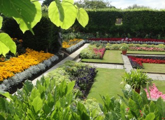 Summer 2016-garden